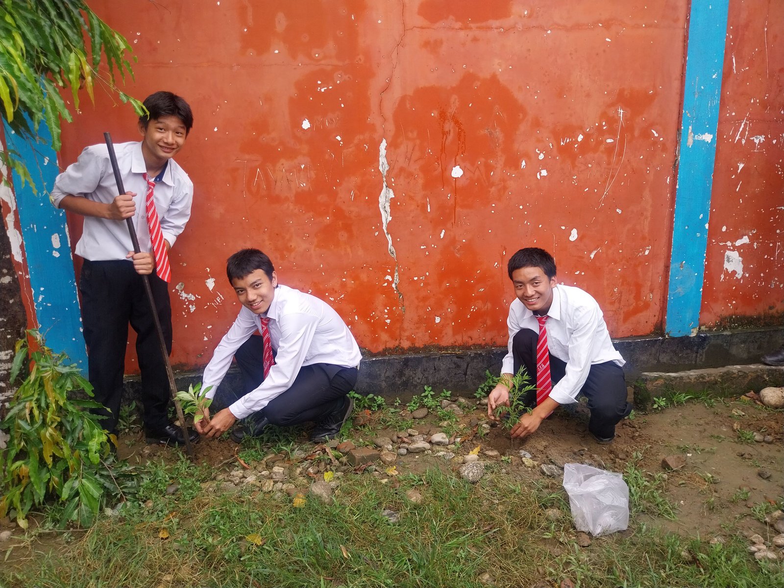 Environment day